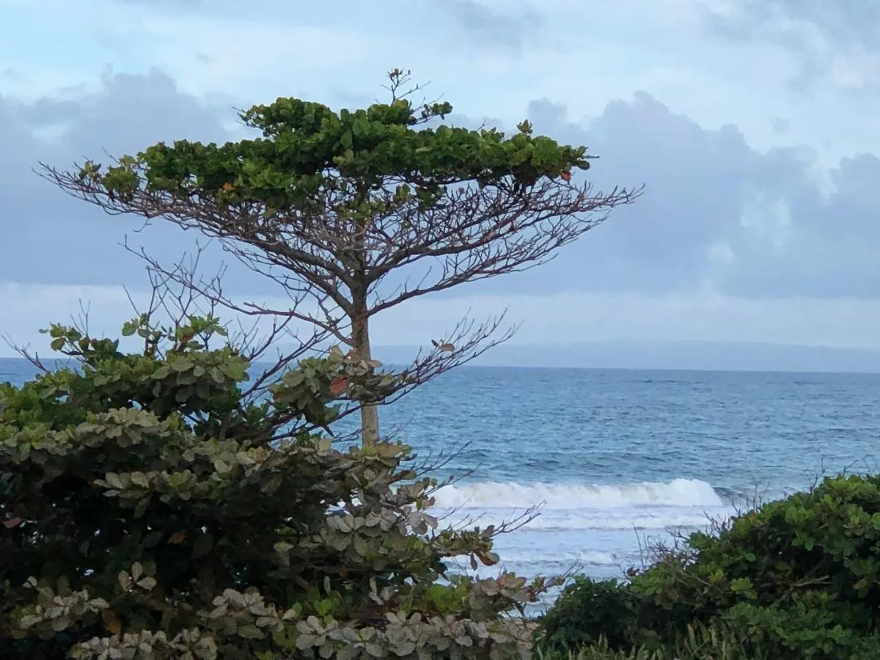 アパートホテル Barefoot Beach Pad キャバレテ